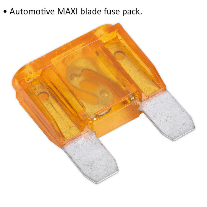 10 PACK 40A Automotive MAXI Blade Fuse Pack - 2 Prong Vehicle Circuit Fuses Loops