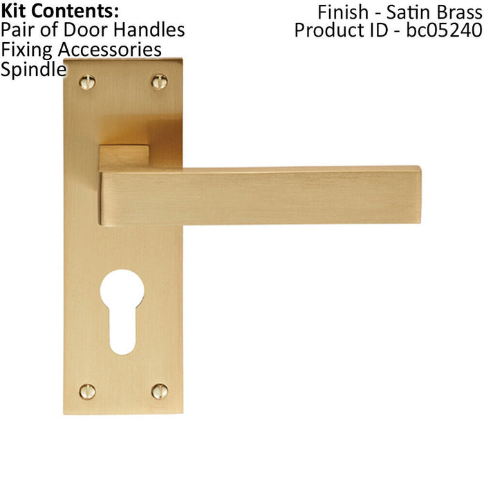 PAIR Straight Square Handle on Euro Lock Backplate 150 x 50mm Satin Brass Loops