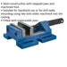Steel Drill Vice - 100mm Jaw Width - Replaceable Stepped Jaws - Machined Foot Loops