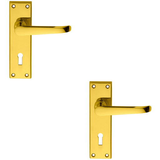 2x PAIR Straight Victorian Handle on Lock Backplate 150 x 42mm Polished Brass Loops