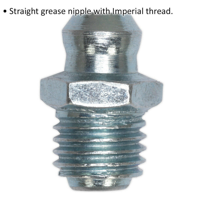 25 PACK Straight Grease Nipple Fitting - 1/4 Inch BSP Gas Imperial Thread Loops