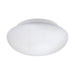 Wall Flush Ceiling Light Colour White Shade White Glass Opal Matt Bulb E27 1x60W Loops