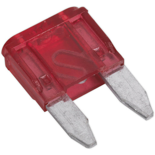 50 PACK 10A Automotive MINI Blade Fuse Pack - 2 Prong Vehicle Circuit Fuses Loops