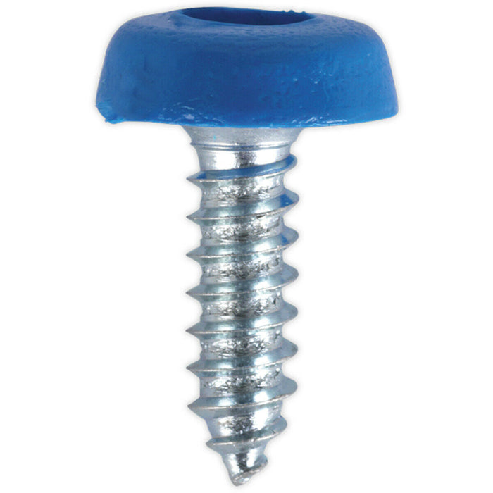 50 PACK 4.8 x 18mm Blue Numberplate Screw - Plastic Enclosed Head Fixings Loops