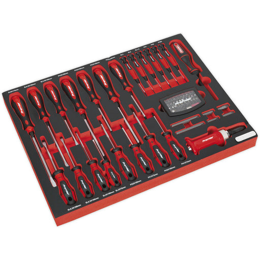 PREMIUM 72pc Screwdriver Set with 530 x 397mm Tool Tray - Slotted & Philips Loops