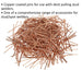 200 PACK - 2mm x 50mm Stud Welding Nails - Car Dent Copper Pulling Spot Pins Loops
