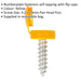 50 PACK 4.2 x 19mm Yellow Numberplate Screw with Flip Cap Plastic Enclosed Head Loops