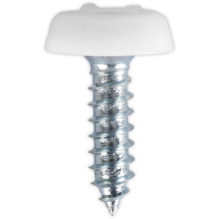 50 PACK 4.8 x 18mm White Numberplate Screw - Plastic Enclosed Head Fixings Loops