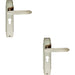 2x PAIR Line Detailed Handle on Euro Lock Backplate 205 x 45mm Satin Nickel Loops