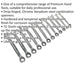 12pc PREMIUM Combination Ratchet Spanner Set - 12 Pt Metric Socket - Hardened Loops