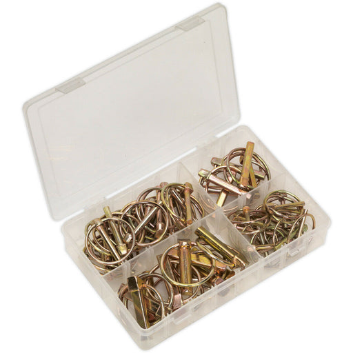 50 Piece Linch Pin Assortment - Metric Sizing - Partitioned Box - Various Sizes Loops