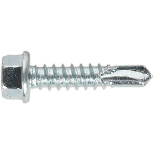 100 PACK 5.5 x 25mm Self Drilling Hex Head Screw - Zinc Plated Fixings Screw Loops