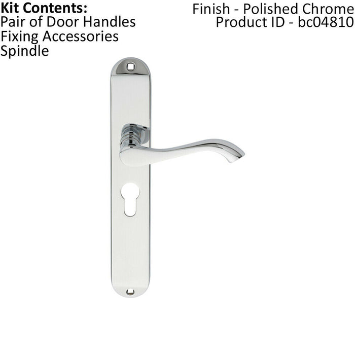 PAIR Curved Lever on Long Slim Euro Lock Backplate 241 x 40mm Polished Chrome Loops