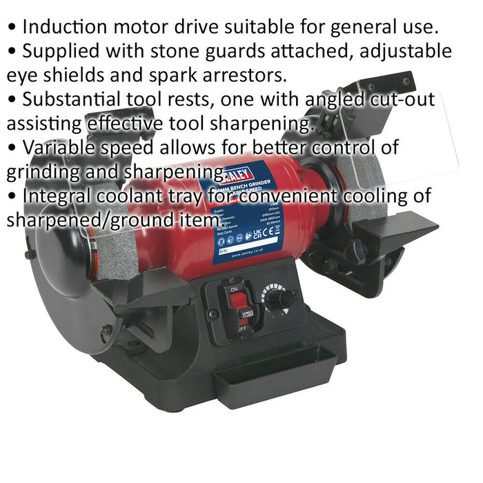 150mm Variable Speed Bench Grinder - 250W Induction Motor - Fine & Coarse Stones Loops