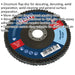 100mm Zirconium Flap Disc - 16mm Bore - Depressed Centre Disc - 40 Grit Loops