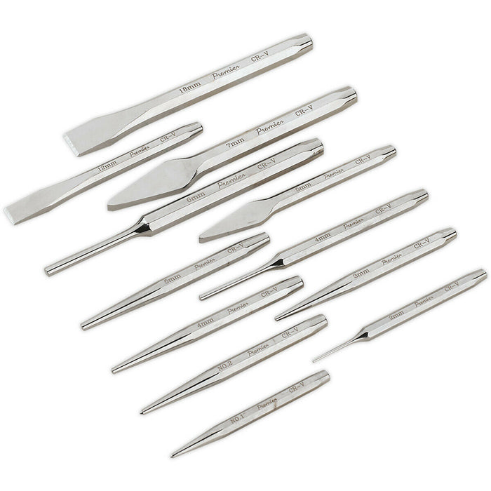 12 Piece PREMIUM Punch & Chisel Set - Hardened & Tempered - Chromed Steel Loops