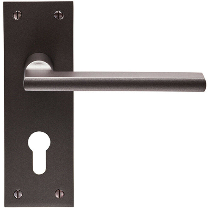 PAIR Straight Bar Handle on Slim Euro Lock Backplate 150 x 50mm Matt Bronze Loops