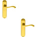 2x PAIR Curved Handle on Chamfered Latch Backplate 180 x 40mm Polished Brass Loops