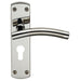 2x Curved Lever on Euro Lock Backplate Handle 172 x 44mm Polished & Satin Steel Loops