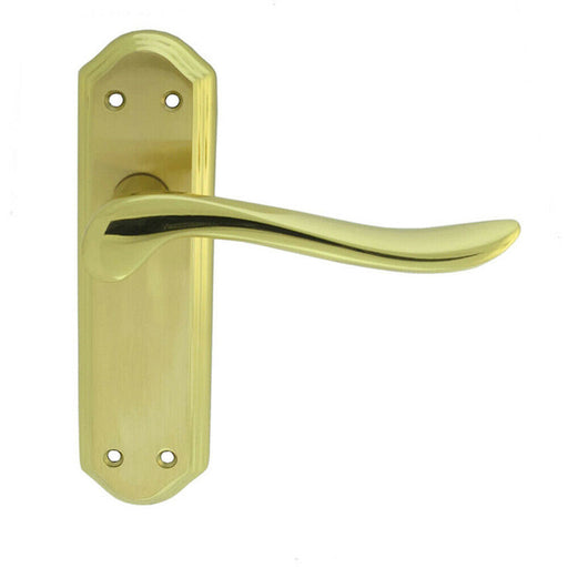 PAIR Curved Lever on Sculpted Latch Backplate 180 x 48mm Satin/Polished Brass Loops