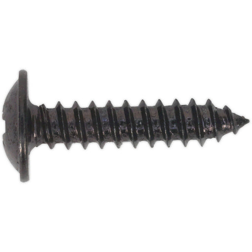 100 PACK 4.2 x 19mm Self Tapping Black Screw - Flanged Pozi Head - Fixings Screw Loops