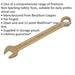 12mm Non-Sparking Combination Spanner - Open-End & 12-Point WallDrive Ring Loops