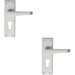 2x PAIR Straight Victorian Handle on Euro Lock Backplate 150 x 43mm Satin Chrome Loops