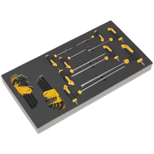 26 Pc T-Handle & Standard TRX-Star Key Set with Tool Tray - Tool Box Tray Tidy Loops