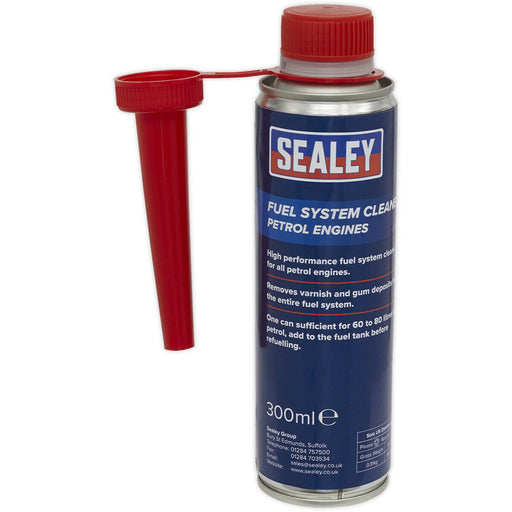 300ml Fuel System Cleaner - Prevents Oxidation of Fuel - For Petrol Engines Loops