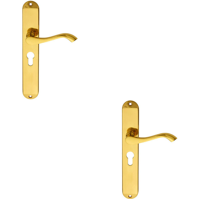 2x PAIR Curved Lever on Long Slim Euro Lock Backplate 241 x 40mm Polished Brass Loops