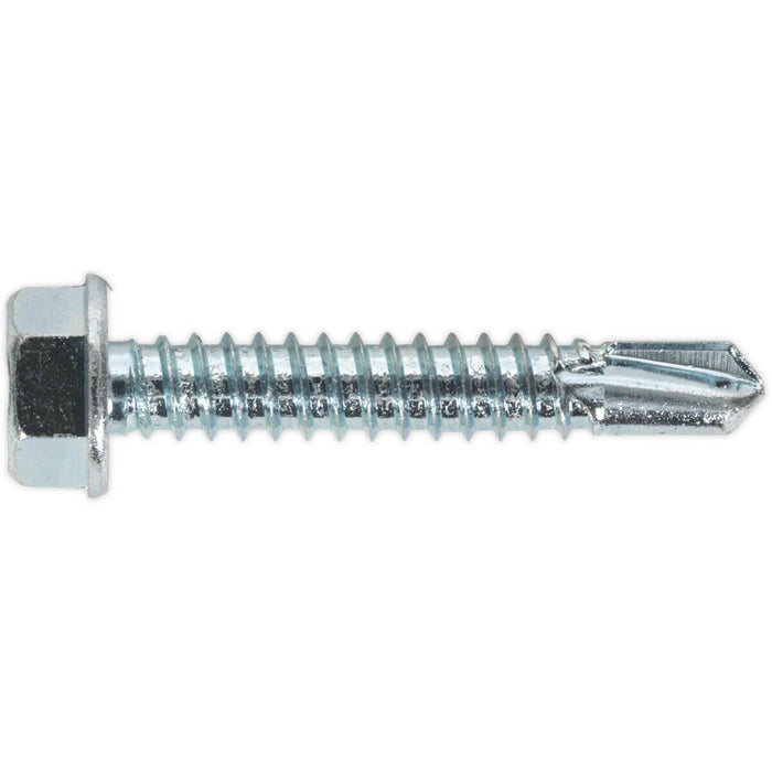 100 PACK 6.3 x 38mm Self Drilling Hex Head Screw - Zinc Plated Fixings Screw Loops