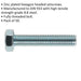 50 PACK HT Setscrew - M5 x 25mm - Grade 8.8 Zinc - Fully Threaded - DIN 933 Loops