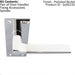PAIR Flat Straight Lever on Slim Bathroom Backplate 150 x 50mm Polished Nickel Loops