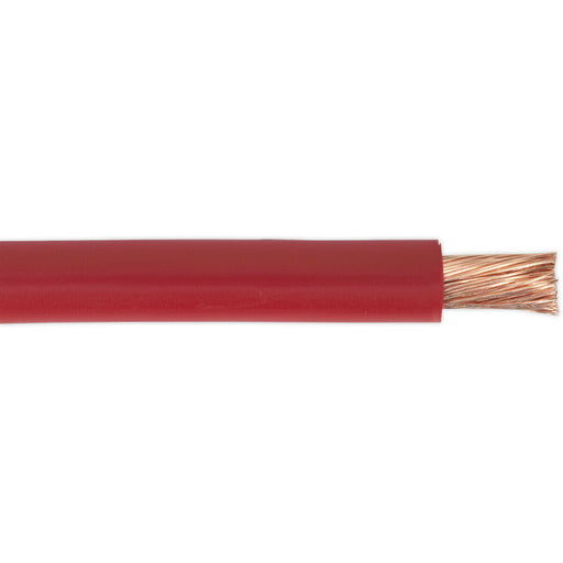 10m Automotive Starter Cable - 170 Amp - Single Core - Copper Conductor - Red Loops