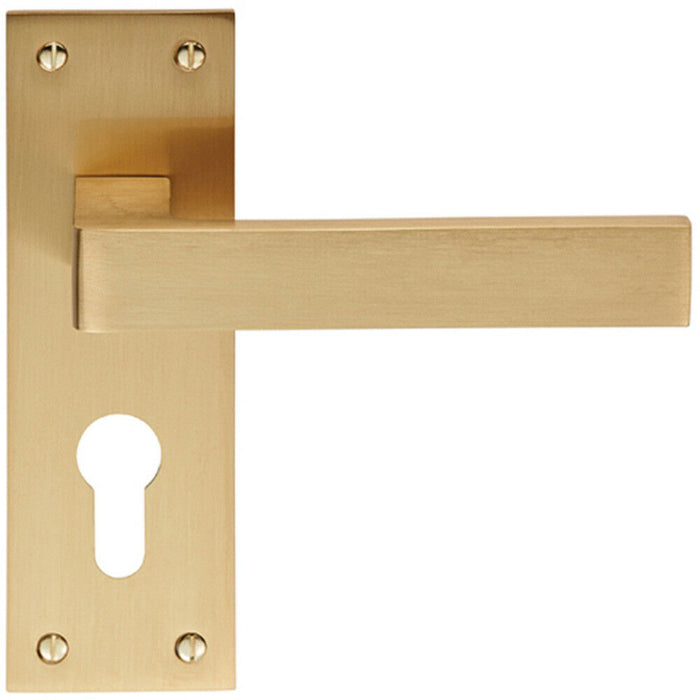 PAIR Straight Square Handle on Euro Lock Backplate 150 x 50mm Satin Brass Loops