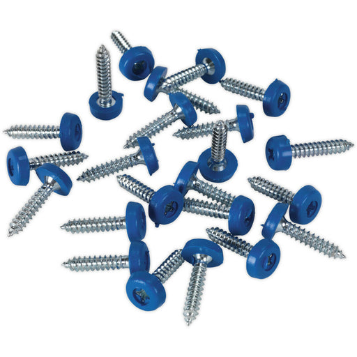 50 PACK 4.8 x 24mm Blue Numberplate Screw - Plastic Enclosed Head Fixings Loops