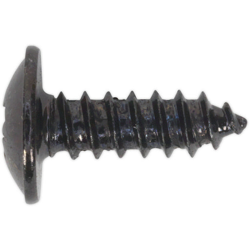 100 PACK 4.2 x 13mm Self Tapping Black Screw - Flanged Pozi Head - Fixings Screw Loops