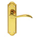 PAIR Curved Door Handle Lever on Latch Backplate 180 x 45mm Polished Brass Loops