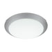 Wall Flush Ceiling Light White Steel White Silver Satin Glass Bulb E27 1x60W Loops