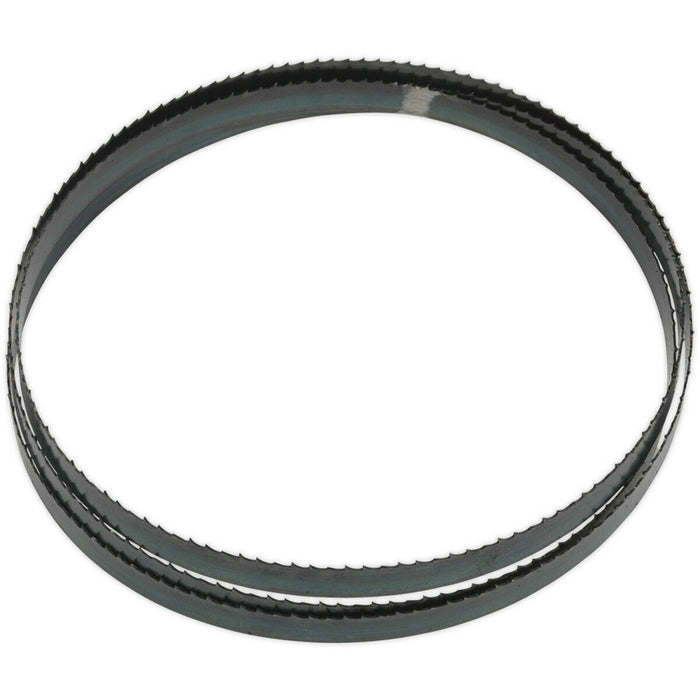 1638 x 13 x 0.63mm Bi-Metal Bandsaw Blade - 6 TPI Hardened Cutting Edges Metal Loops