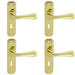 4x PAIR Heavy Duty Handle on Angular Lock Backplate 180 x 40mm Polished Brass Loops
