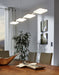 Pendant Ceiling Light Colour Chrome Shade Clear Satined Plastic Bulb LED 4x4.5W Loops