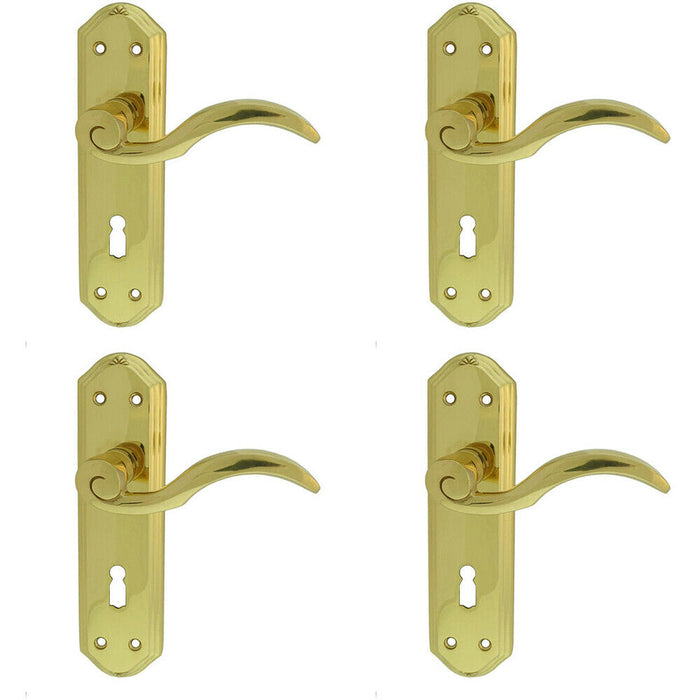 4x PAIR Spiral Sculpted Handle on Lock Backplate 180 x 48mm Polished Brass Loops