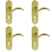 4x PAIR Spiral Sculpted Handle on Lock Backplate 180 x 48mm Polished Brass Loops