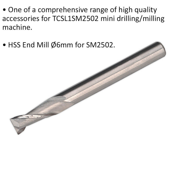 6mm HSS End Mill 2 Flute - Suitable for ys08796 Mini Drilling & Milling Machine Loops