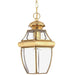 IP23 1 Bulb Chain Lantern Light Highly Polished Brass LED E27 100W Loops