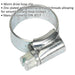 30 PACK Zinc Plated Hose Clip - 10mm to 16mm Diameter - External Pressed Threads Loops