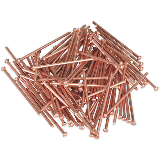 100 PACK - 2mm x 50mm Stud Welding Nails - Car Dent Copper Pulling Spot Pins Loops