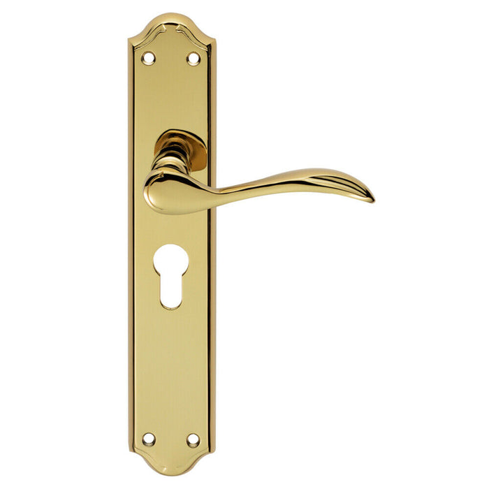 2x PAIR Curved Handle on Long Euro Lock Backplate 245 x 45mm Stainless Brass Loops