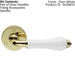 PAIR Porcelain Handle with Ringed Detailing 58mm Round Rose Polished Brass Loops